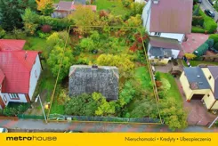 SGNOZA209 - zdjęcie nr 0
