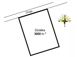 JADO727 - zdjęcie nr 4
