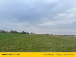 SGMAKO145 - zdjęcie nr 0