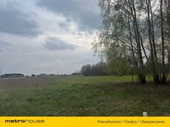 SGMAKO145 - zdjęcie nr 3