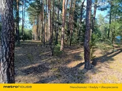 RUJY365 - zdjęcie nr 0