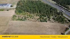 SGZEPA548 - zdjęcie nr 2