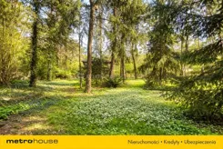 SGJIJU769 - zdjęcie nr 3