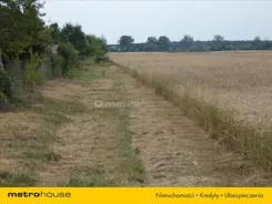 MENY924 - zdjęcie nr 0