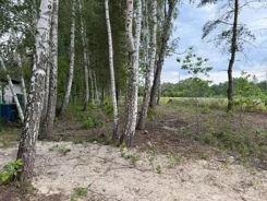 SGNUPU398 - zdjęcie nr 3
