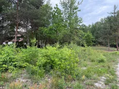 SGRENE810 - zdjęcie nr 3
