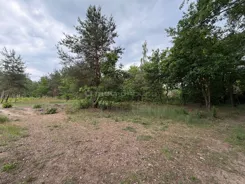 SGLAFA989 - zdjęcie nr 3