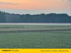 SGNEBY117 - zdjęcie nr 2