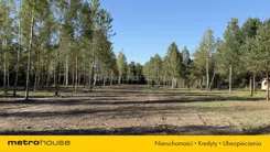 SGGELA411 - zdjęcie nr 2