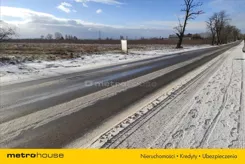 REXO817 - zdjęcie nr 3