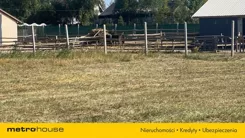 SGJUCU923 - zdjęcie nr 1