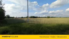 SGSOPA877 - zdjęcie nr 1