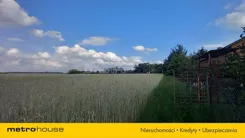 SGSOPA877 - zdjęcie nr 3