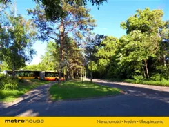 LORO174 - zdjęcie nr 3