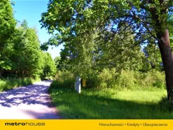 LORO174 - zdjęcie nr 5