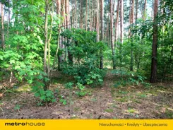 TYBO786 - zdjęcie nr 1