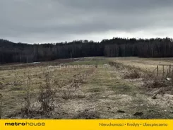 SGSIVA309 - zdjęcie nr 3