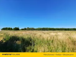 TOSA165 - zdjęcie nr 0