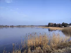 SGZARO266 - zdjęcie nr 3