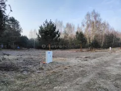 SGMULE565 - zdjęcie nr 3