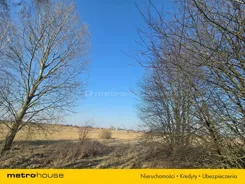 SGVOKO290 - zdjęcie nr 4