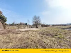 SGLENO442 - zdjęcie nr 2