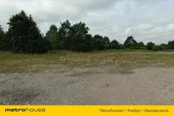 DALY256 - zdjęcie nr 0