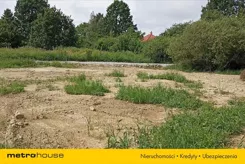 DALY256 - zdjęcie nr 4