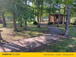 SGZUMY163 - zdjęcie nr 4