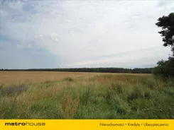 DATA295 - zdjęcie nr 2