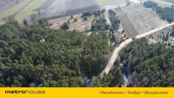 SGPOZA399 - zdjęcie nr 4