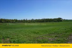 WOMO123 - zdjęcie nr 4