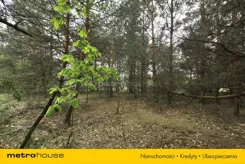SGTIDE879 - zdjęcie nr 3