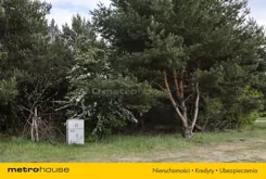 SGTIDE879 - zdjęcie nr 4