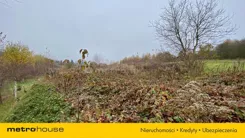 SGKONE232 - zdjęcie nr 1