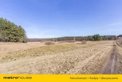 SGKORE145 - zdjęcie nr 4