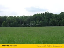 TOXY105 - zdjęcie nr 0