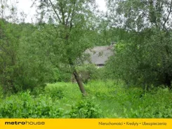 TOXY105 - zdjęcie nr 4