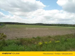 GUCY204 - zdjęcie nr 2