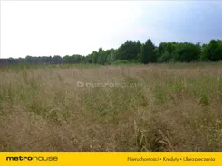 ZYKO899 - zdjęcie nr 0