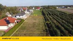 SGVIGI944 - zdjęcie nr 2