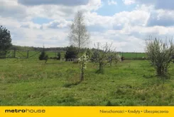 SGJUNO132 - zdjęcie nr 1