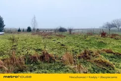 SGJUNO132 - zdjęcie nr 2