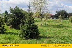 SGJUNO132 - zdjęcie nr 4