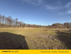 SGREFE707 - zdjęcie nr 2