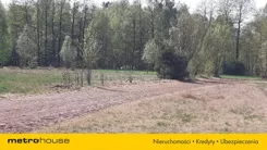 SGSUTY195 - zdjęcie nr 3