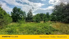 SGLAJY199 - zdjęcie nr 3