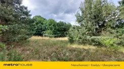 SGLAJY199 - zdjęcie nr 4