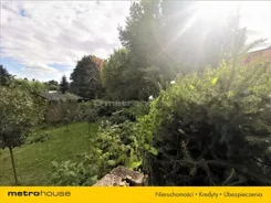 MOLU255 - zdjęcie nr 3