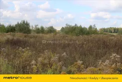NUTE080 - zdjęcie nr 1